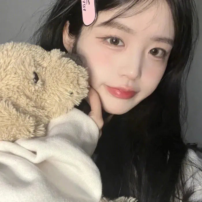 营救长颈鹿之漫漫归途